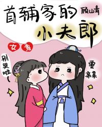首辅家的小夫郎[女尊]